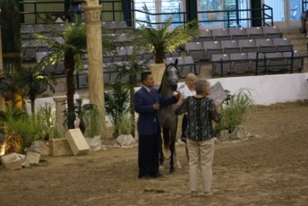Egyptian Event