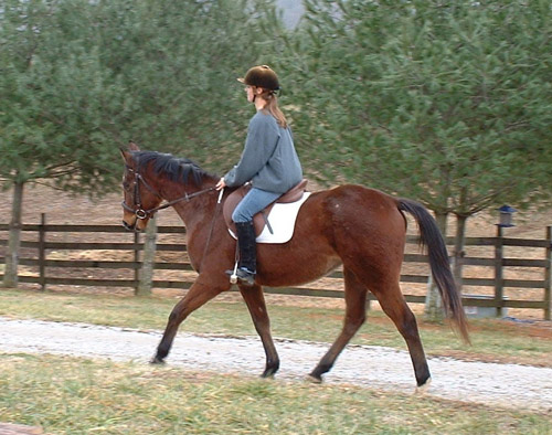 Brooke & Bambi