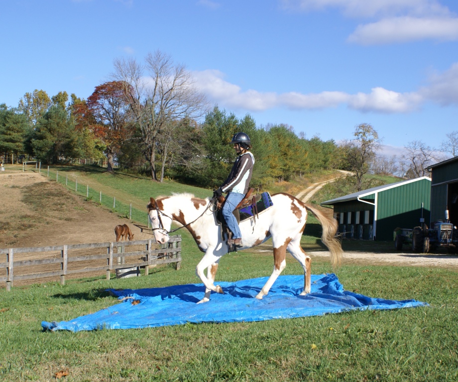 Dealing with a tarp