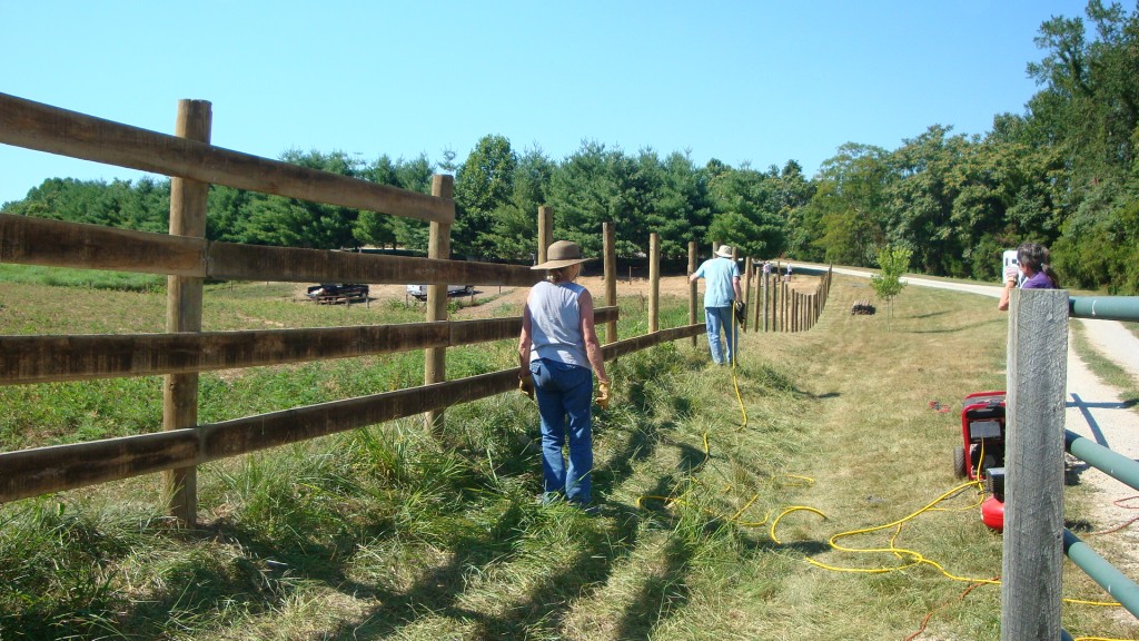 Fence Fixing