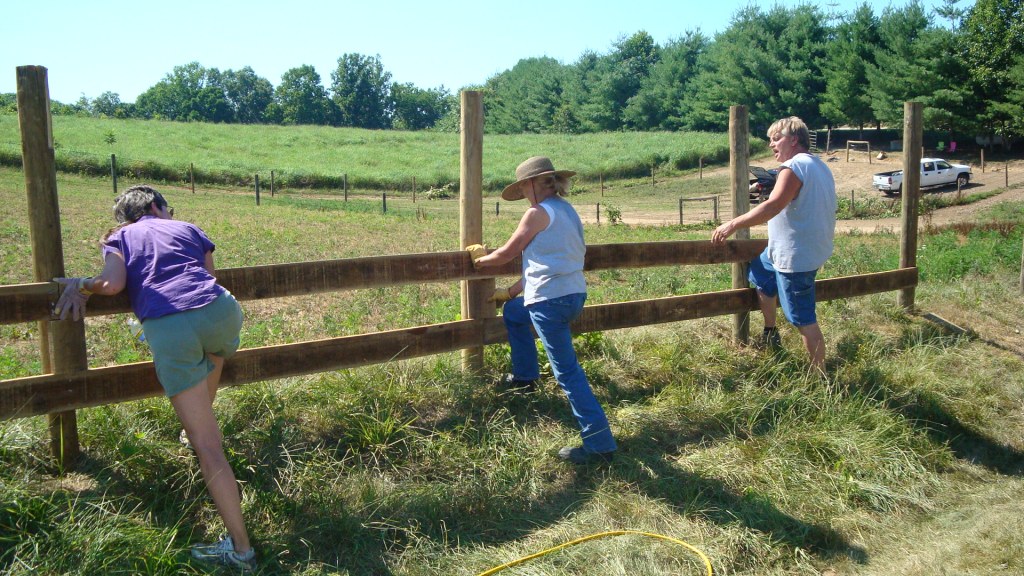 Fence Fixing