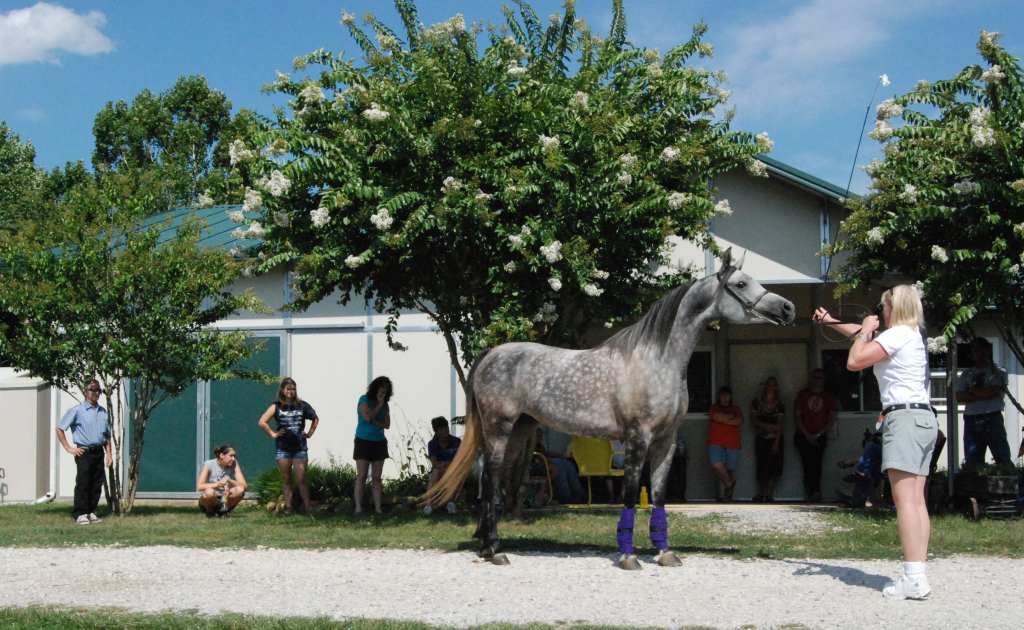 July 2010