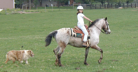 Abbie & Jessi