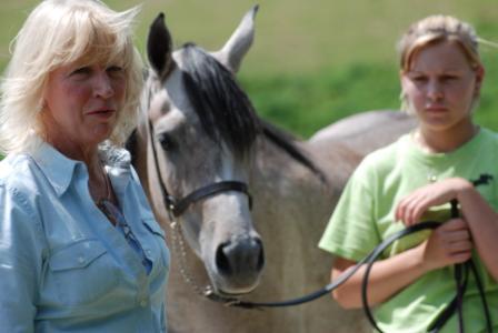 Halter Training