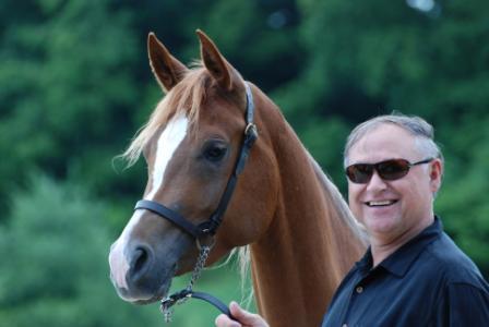 Halter Training