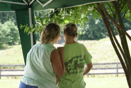 Halter Training