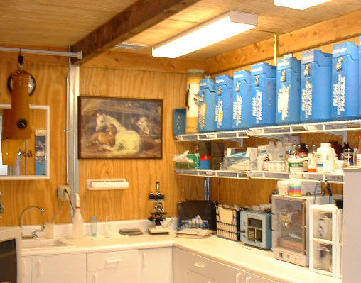 Picture of Lab