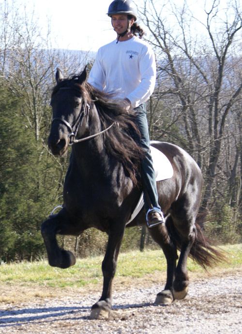 Starting the Friesian Liske