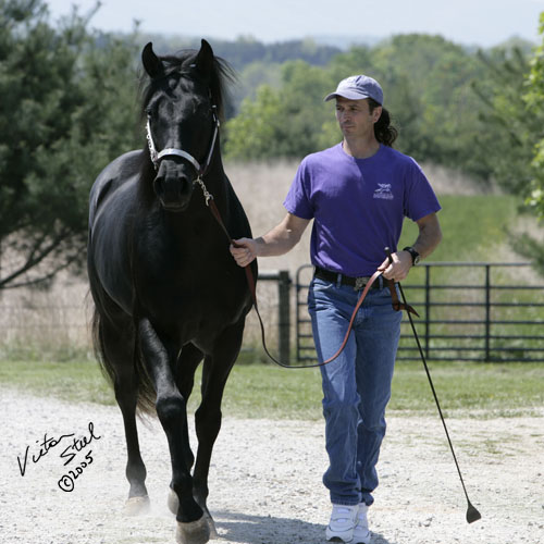 Mark With Rare Ole Maverick