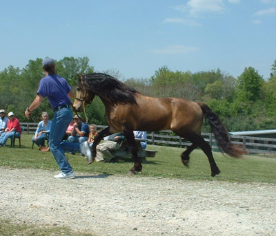 Mark with Gunsmoke