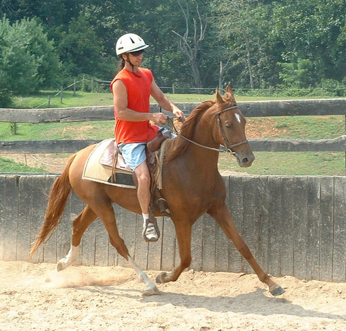 Mark & Spirit