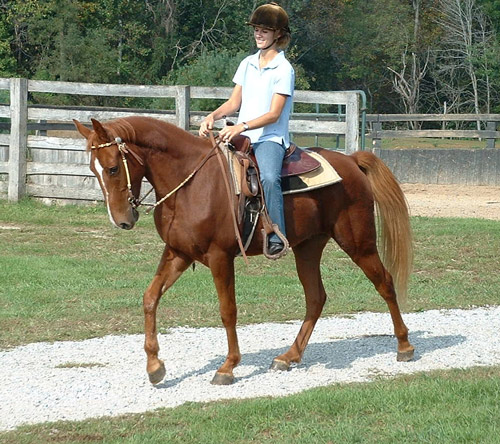 Brooke & Stormy
