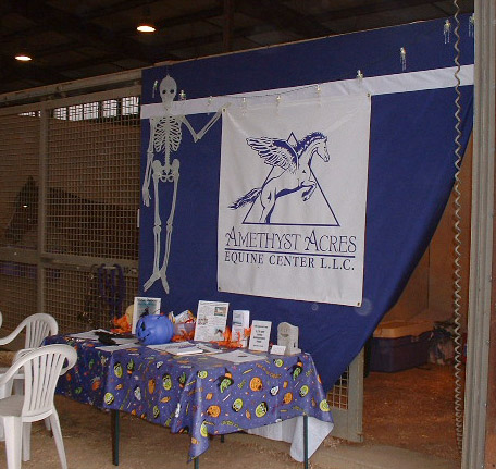 Amethyst Acres Stalls