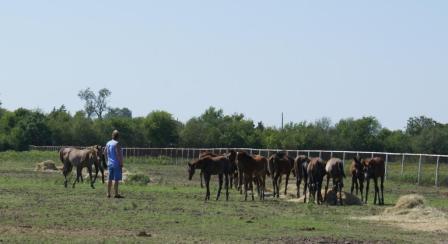 Texas Trip