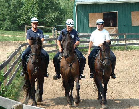Sebastian, Nitro & Seiko