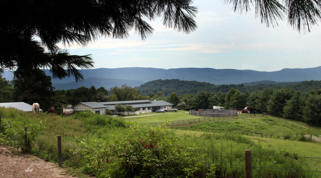 Blue Ridge Parkway