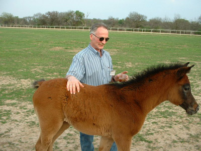 Waco