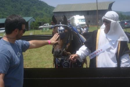 Festival
